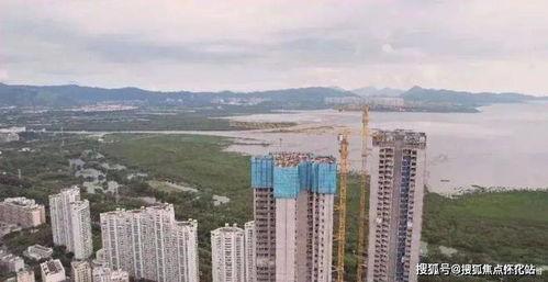 湾湾爆料最新消息,最新消息揭秘！  第2张